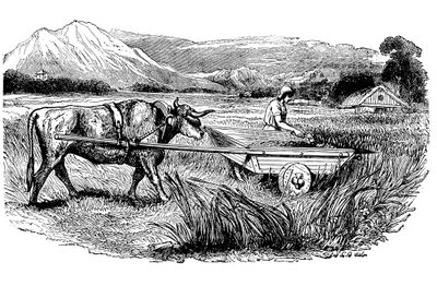 Rekonstrukce římského žacího vozu, jak ji popsal Plinius, Rytina, 1860 od Unbekannt