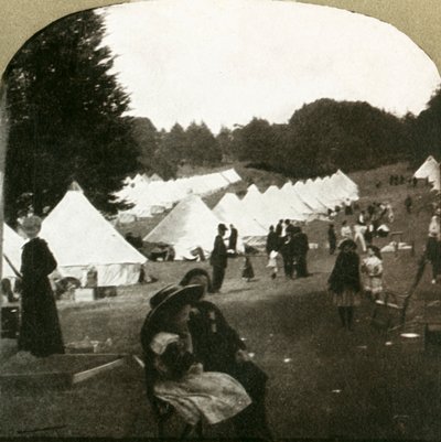 Uprchlíci táboří na plesových hřištích v parku Golden Gate, 1906. od Unbekannt