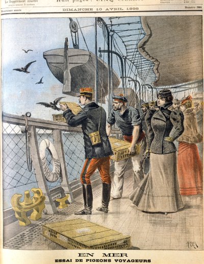 Vypouštění holubů francouzské armády na palubě transatlantické lodi La Bretagne, 1898 od Unbekannt