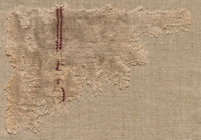 Rep Cloth, 3. stol. od Unbekannt