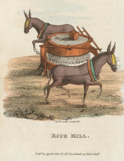 Rýžový mlýn, 1813 od Unbekannt