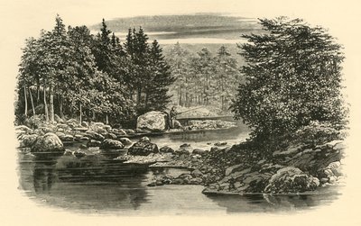 River Scene, Langdale, c1890. od Unbekannt