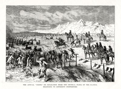 Rodeo, Jižní Amerika, 1877 od Unbekannt