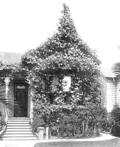 Rose Cottage, South Spring Street, Los Angeles, Kalifornie, USA, c1900. od Unbekannt