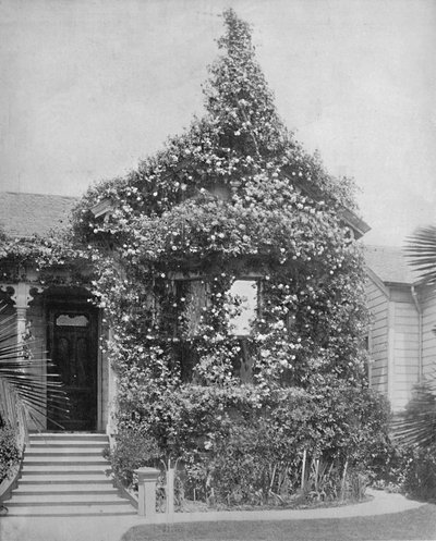 Rose Cottage, South Spring Street, Los Angeles, Kalifornie, c1897. od Unbekannt
