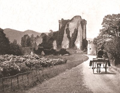 Ross Castle, Isle of Ross, County Kerry, Irsko, 1894. od Unbekannt
