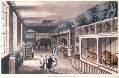 Royal Menagerie, Exeter Change, Strand, Londýn, c1820 od Unbekannt