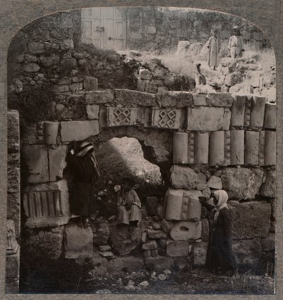 Ruiny domu Lazarů, c1900 od Unbekannt