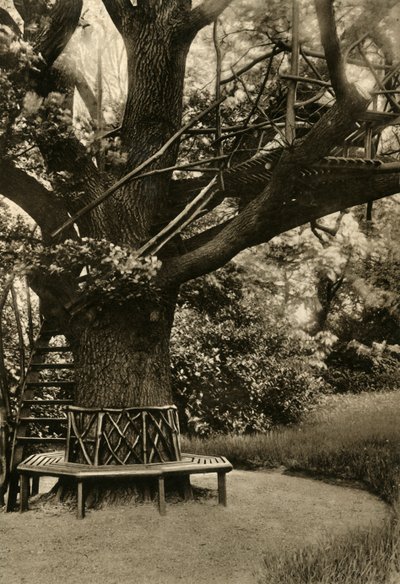 Rustikální úprava. - Letní dům na stromě, ideální čajovna, 1920. od Unbekannt