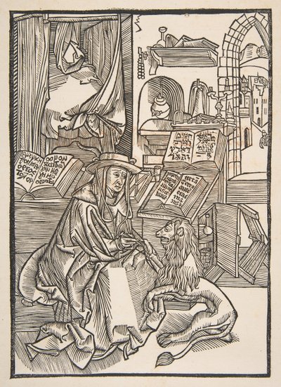 Saint Jerome Extrahování trnu ze lví nohy, Lyons 1508 copy.n.d. od Unbekannt