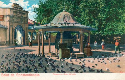 Salut de Constantinople - Holubi u dvora Eyoub, c1900 od Unbekannt
