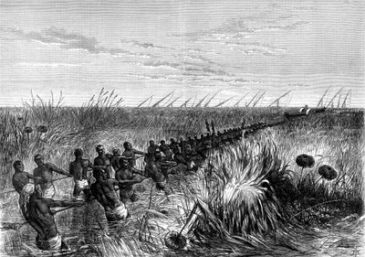 Loď Samuel Bakers tažená říční trávou, 1864 1874 od Unbekannt