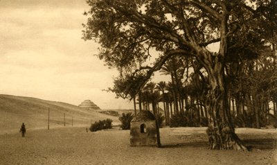 Sakkára – stupňovitá pyramida při pohledu z Sycomoru, c1918-c1939. od Unbekannt