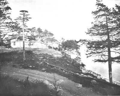 Savin Rock, New Haven, Connecticut, USA, c1900. od Unbekannt
