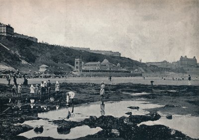 Scarborough - Pohled ze skal, 1895 od Unbekannt