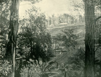 Scéna v Upper Gembrook, Victoria, 1901. od Unbekannt