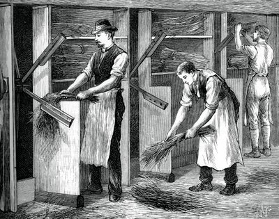 Scutching mill, c1880 od Unbekannt