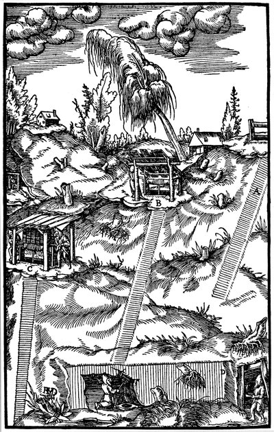 Pohled v řezu na německý důl, 1556 od Unbekannt