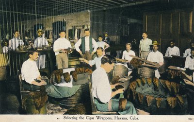 Výběr obalů na doutníky, Havana, Kuba, c1910 od Unbekannt