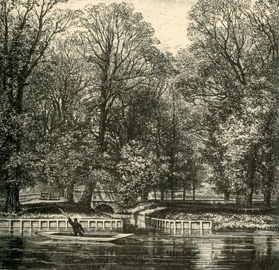 Sheep Bridge a Sixth Form Bench, 1911. od Unbekannt