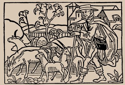 Pastýř. Ze zrcadla lidského života Rodericus Zamorensis, 1479 od Unbekannt