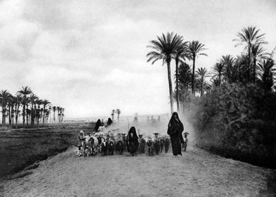 Pasení ovcí poblíž Káhiry, Egypt, c1920 od Unbekannt