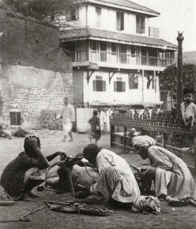 Podkování býka, Indie, c1927-c1929 od Unbekannt