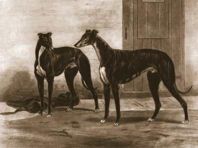 Simonian a Fullerton, c1891, 1911. od Unbekannt