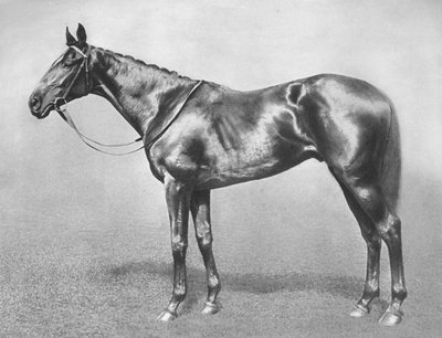 Sir Archibald, 1911 od Unbekannt