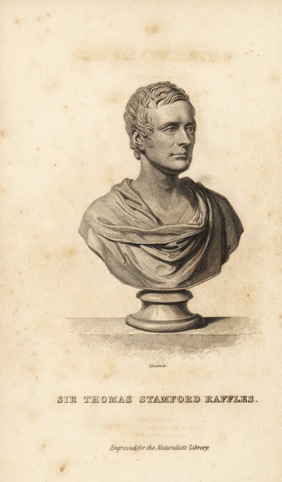 Sir Thomas Stamford Raffles , britský státník, spisovatel a přírodovědec od Unbekannt