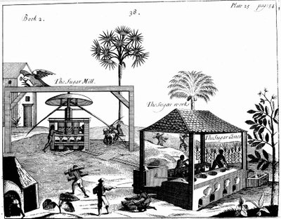 Otrocká práce na cukrové plantáži v Západní Indii, 1725 od Unbekannt