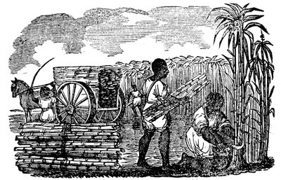 Otroci sklízejí cukrovou třtinu v Louisianě, 1833 od Unbekannt