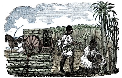 Otroci sklízejí cukrovou třtinu v Louisianě, 1833 od Unbekannt