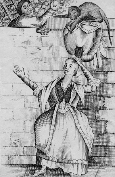 Lehká ruka opice - nebo vybitá hlava dámy, c1812 od Unbekannt