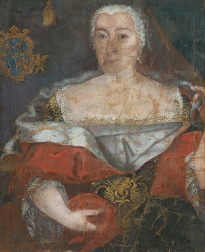 Slovenský malíř kolem poloviny 18. století - Portrét a zemanka in a Brocaded Cloak od Unbekannt