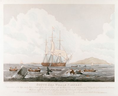 Rybolov velryb jižních, 1825 od Unbekannt