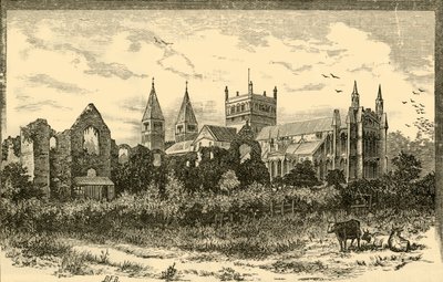Southwell Minster a ruiny paláce, 1898. od Unbekannt