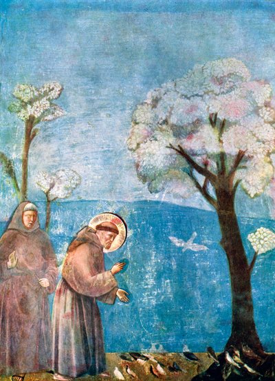 Svatý František káže ptákům, 1297-1299, c1900-1920 od Unbekannt