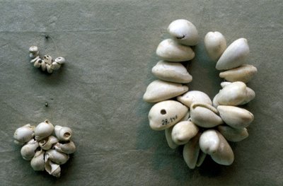 Struny mušlí Cowrie od Unbekannt