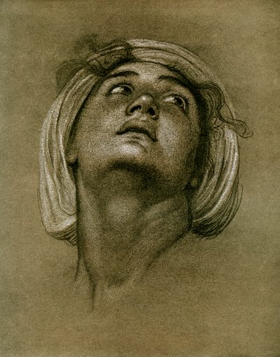 Studie hlavy, 1901 od Unbekannt