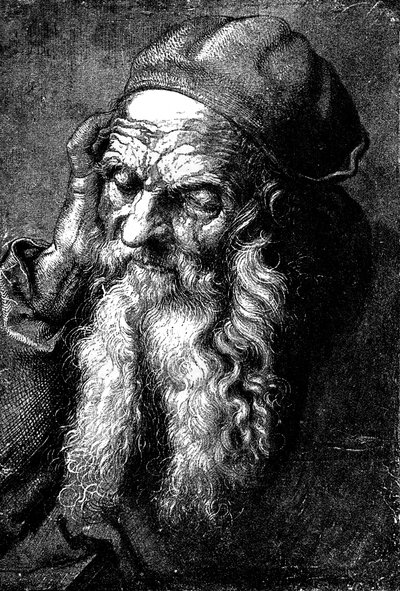 Studie starého muže, konec 15. - začátek 16. století 1882 od Unbekannt
