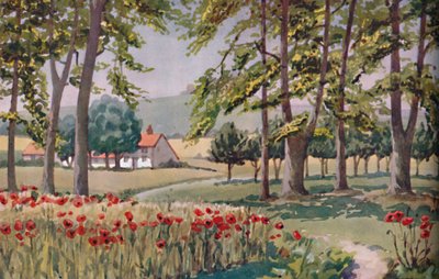 Léto – Fyzikální, chemické a biologické změny způsobené Sluncem v průběhu roku, 1935 od Unbekannt