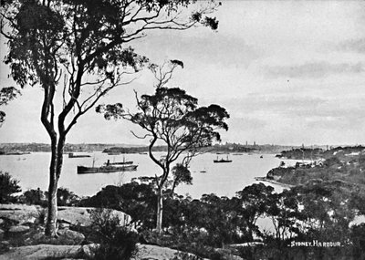 Sydney Harbour, z Cremorne Point, c1900. od Unbekannt