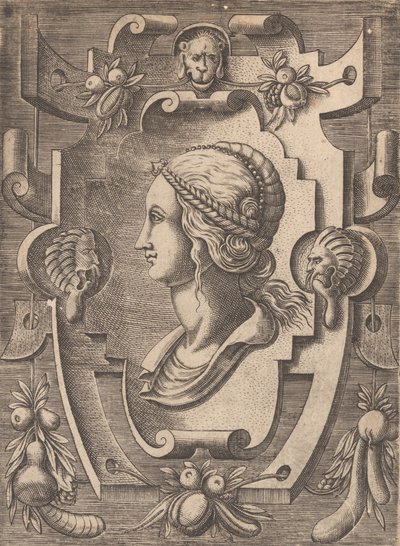 Plakety a jiné ozdoby s různými a rozmarnými vynálezy Kartuše a jiné ozdoby o ..., 1773. od Unbekannt