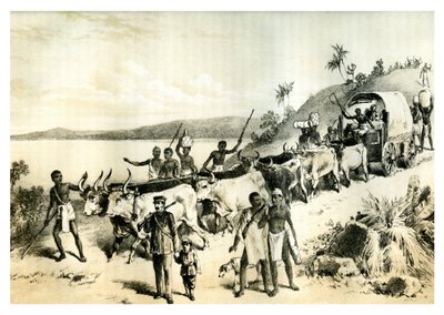 Příjezd k jezeru Ngami, 1883 od Unbekannt