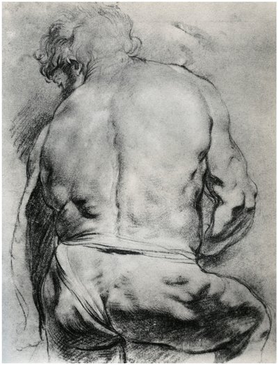 The Back of a Nude Man, c1610 1958 od Unbekannt