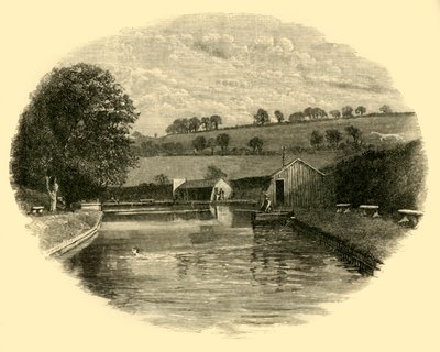 Koupaliště, 1898. od Unbekannt