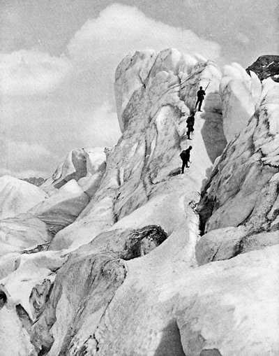 Bernina Range, Alpy, začátek 20. století od Unbekannt