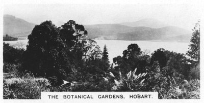 Botanická zahrada, Hobart, Tasmánie, 1928 od Unbekannt