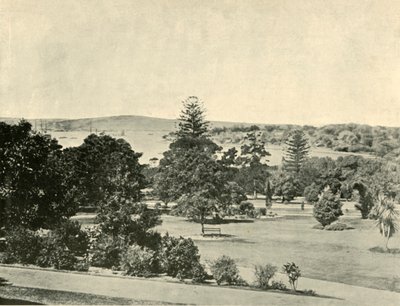 Botanická zahrada v Sydney, 1901. od Unbekannt